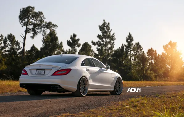 Picture road, white, trees, Mercedes-Benz, sedan, Mercedes, rear view, AMG