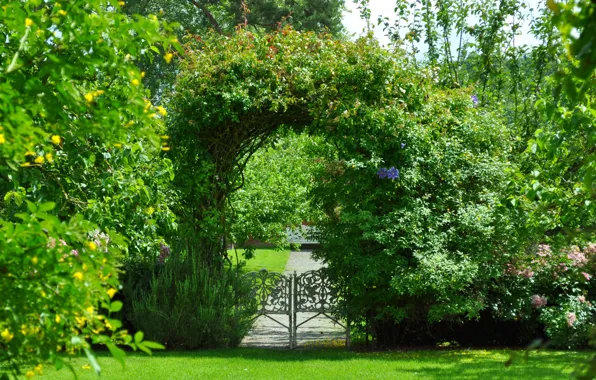 Picture greens, summer, Park, green, plants, garden, arch, summer