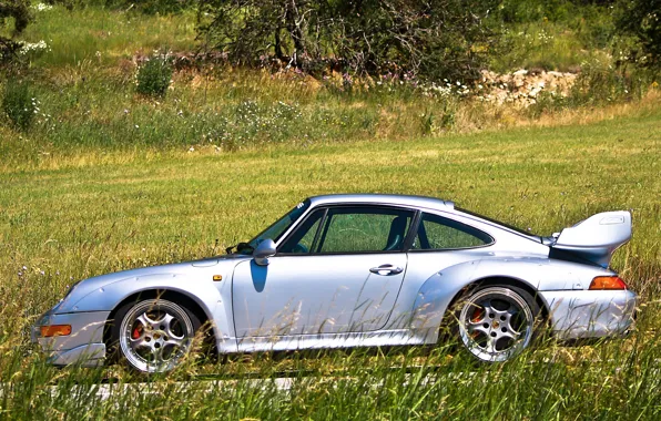 Road, grass, trees, grey, 911, Porsche, silver, grass