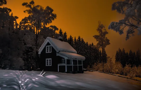 Picture winter, forest, snow, landscape, nature, house, the evening