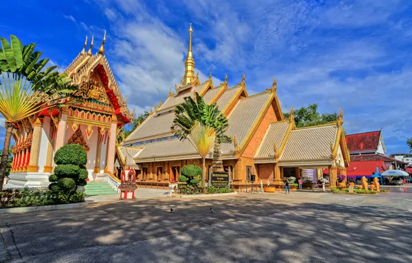 The sky, the sun, clouds, design, tropics, home, Thailand, Ubon Ratchathani