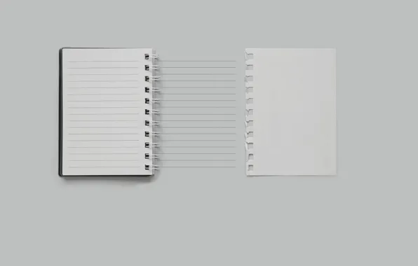 Line, sheet, notebook