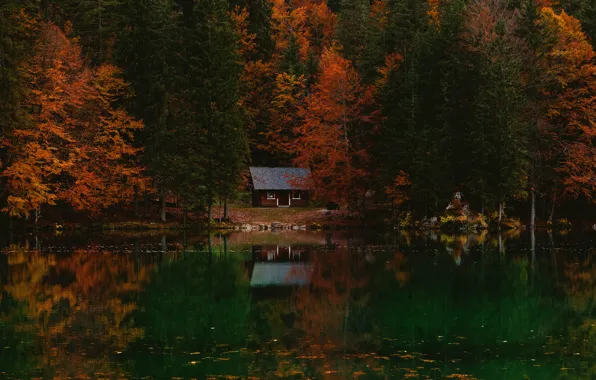 Autumn, forest, water, lake, reflection, the dark background, shore, view
