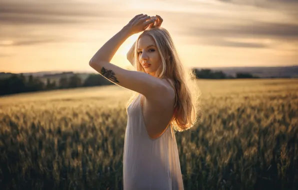 Picture girl, white, dress, fields, sun, charming, drenched