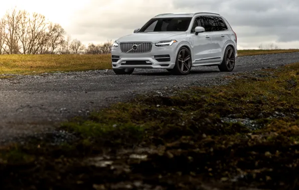 Picture White, XC90, Wheels