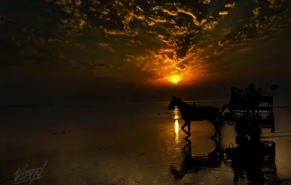 Shore, horse, Sunset, wagon
