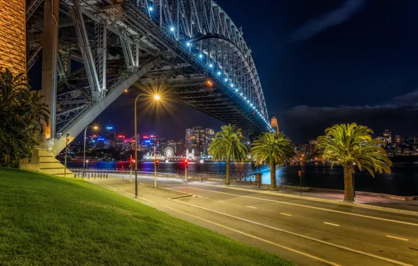 Road, night, bridge, lights, river, palm trees, Sydney, Australia
