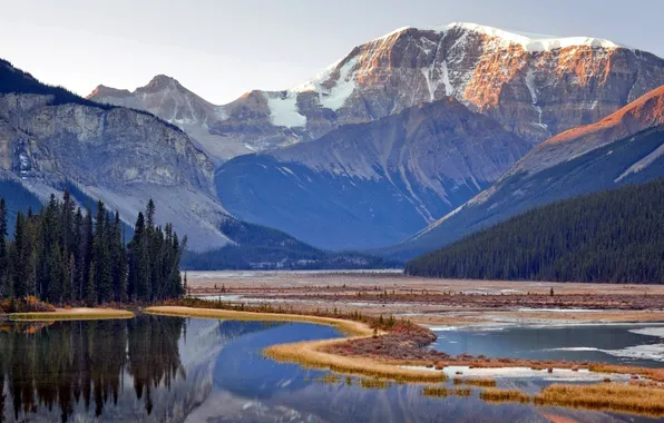 Forest, mountains, lake, Jasper, Alberta, Canada, National park