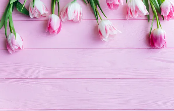 Picture flowers, tulips, pink, fresh, wood, pink, flowers, beautiful