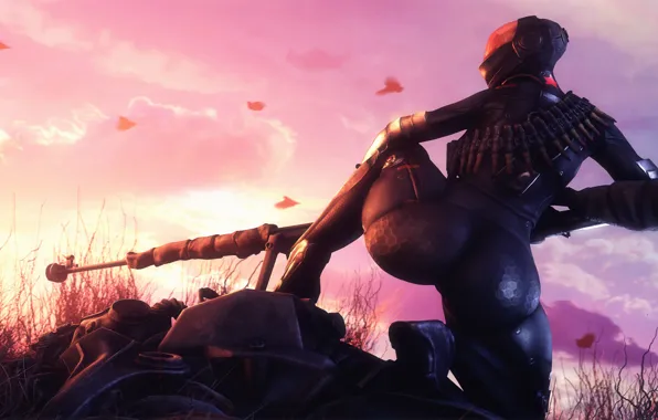 Ass, girl, rendering, weapons, armor, fallout 3, brotherhood of steel, chinese suit