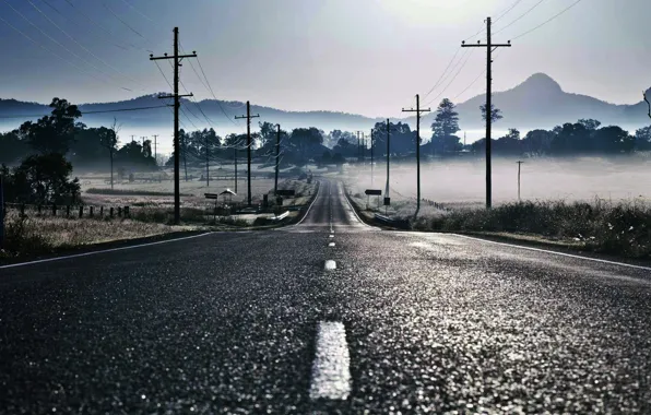 Picture road, fog, markup, posts, wire