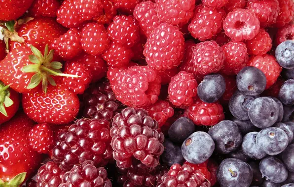 Berries, raspberry, blueberries, strawberry, placer, a lot, different, BlackBerry