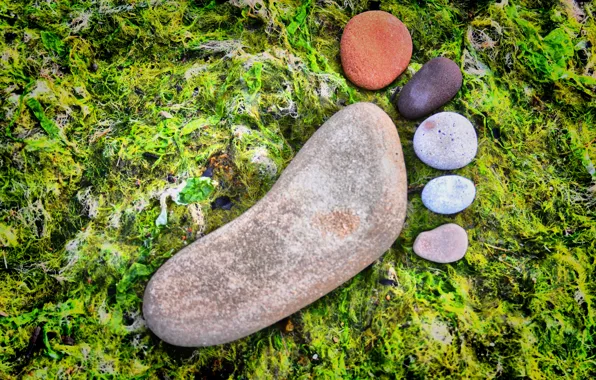 Stones, moss, colorful, foot