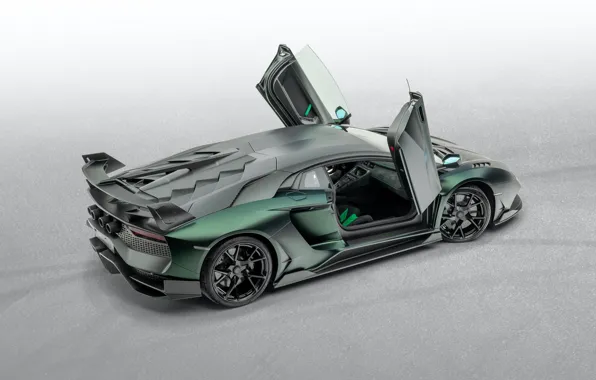 Lamborghini, door, supercar, Aventador, Mansory, 2020, SVJ, Cabrera
