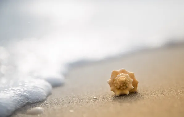 Wallpaper water, light, easy, life, The air for mobile and desktop