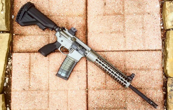 Picture weapons, AR-15, assault rifle