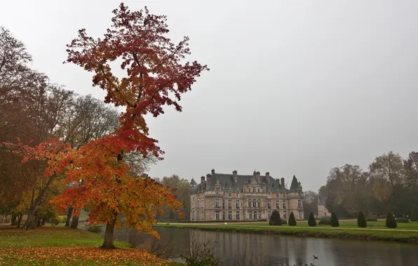 Picture autumn, channel, France, Palace, Sergey Dolya, Chateau