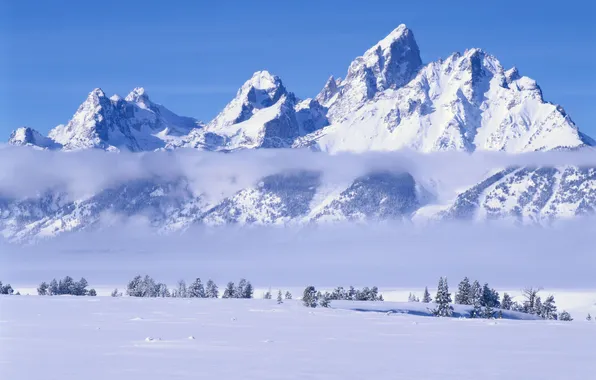 Winter, snow, nature