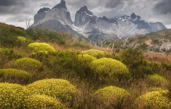 Picture clouds, landscape, mountains, nature, vegetation, Chile, Patagonia