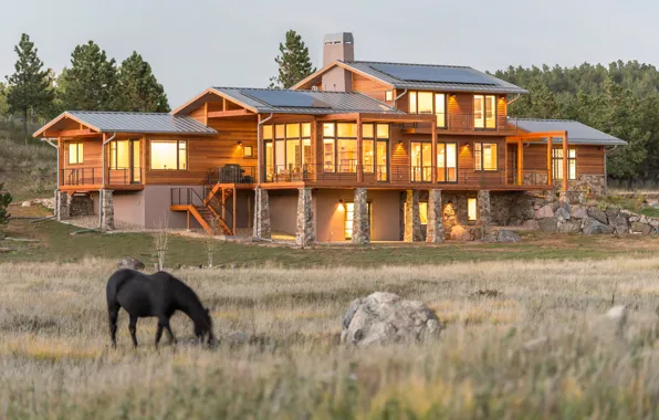 Picture field, nature, style, Villa, home, architecture