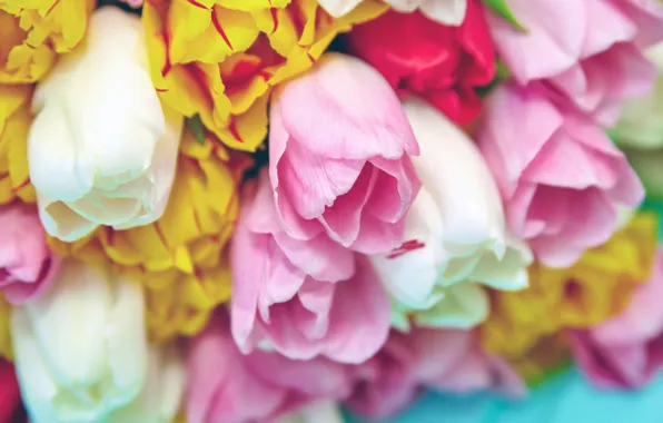 Flowers, bouquet, spring, colorful, tulips, fresh, pink, flowers