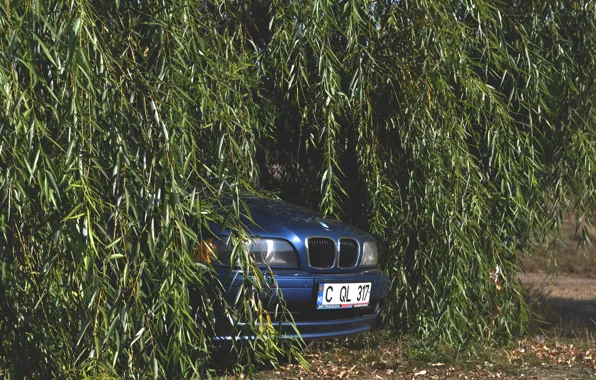 Auto, 5 series, E39