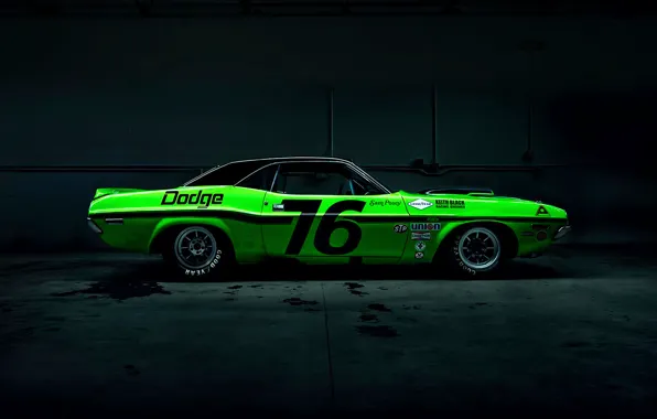 Picture Dark, Muscle, Dodge, Challenger, Car, Race, Green, Side