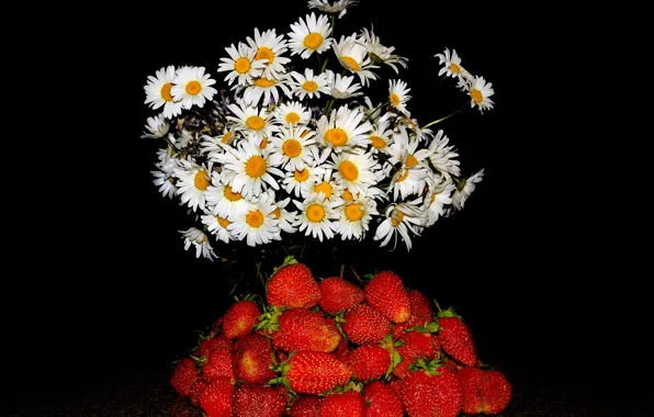 Flowers, red, berries, chamomile, bouquet, strawberry, black background
