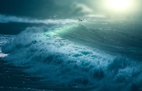 Sea, wave, storm, Seagull