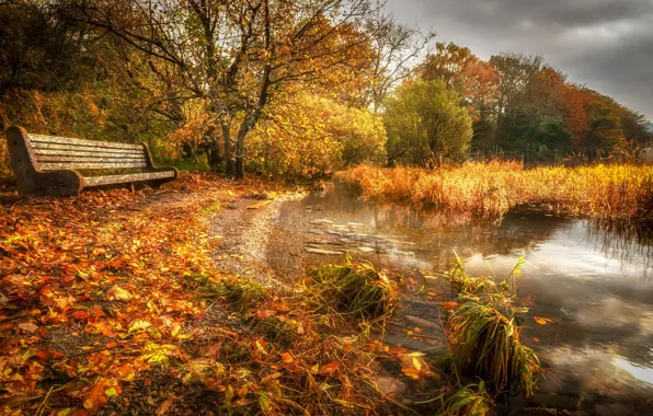 Picture autumn, Park, bench
