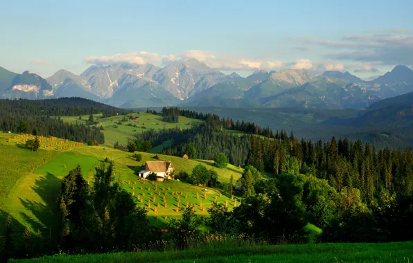 Picture Nature, Home, Mountains, Forest, Poland, Meadow, Field, Landscape