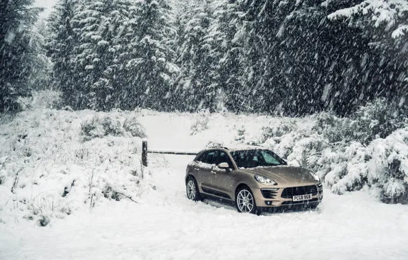 Road, hills, Porsche, crossover, Diesel, Macan S