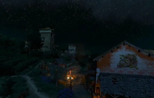 Night, stars, vineyard, the witcher 3 wild hunt, Toussaint