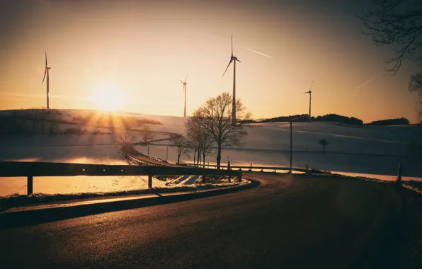 Road, light, morning, windmills