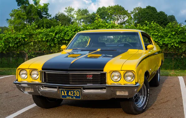 Picture classic, the front, 1972, Buick