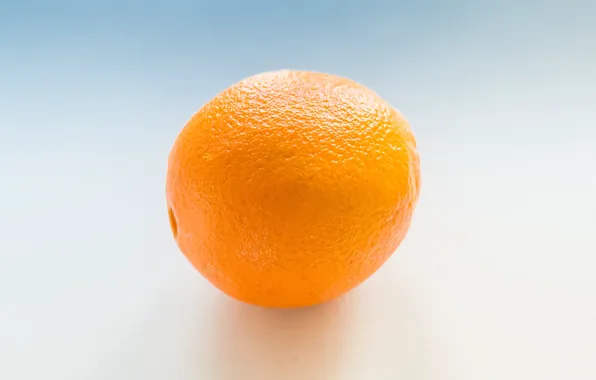 Orange, orange, fruit, blue background