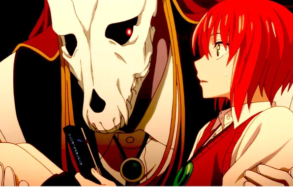 Mahou Tsukai no Yome  Ancient magus bride, Anime, Anime love