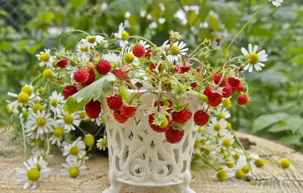 Greens, summer, leaves, flowers, berries, stump, chamomile, garden