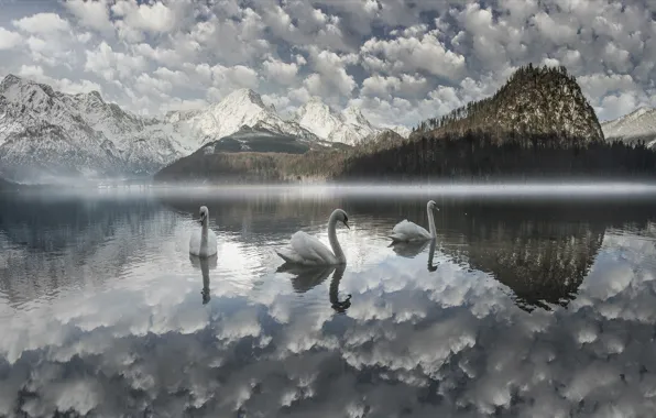 Clouds, landscape, mountains, birds, nature, fog, lake, Austria