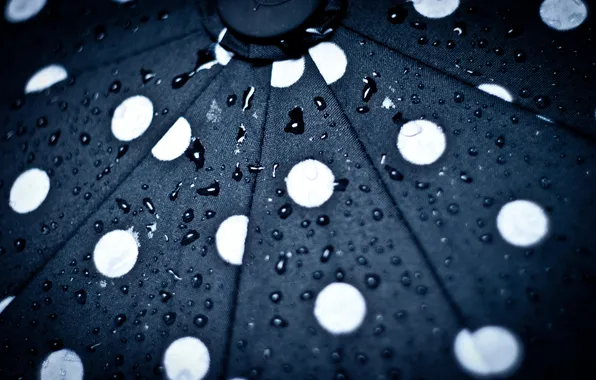 Drops, pattern, under the umbrella