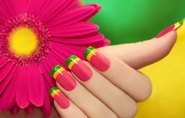 Picture flower, pink, color, manicure, gerbera