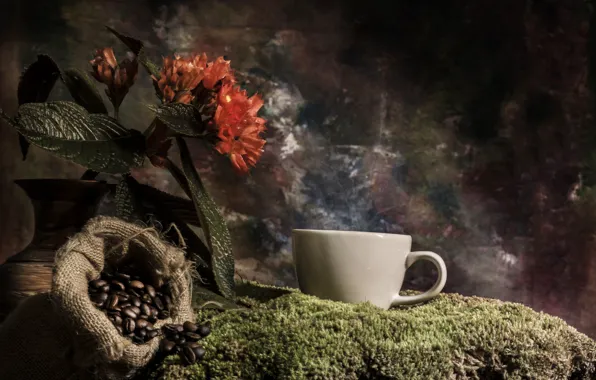 Picture flower, coffee, moss, mug, vase, bag, grain