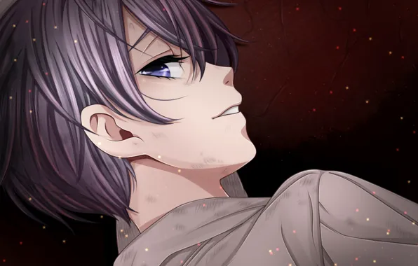 Boy, count, Dark Butler, Kuroshitsuji, Ciel Phantomhive