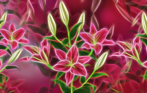 Graphics, flowers, Fractailis