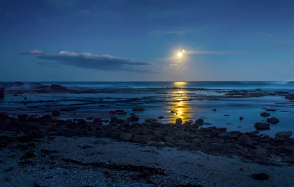 Sand, sea, water, light, stones, the moon, shore, track