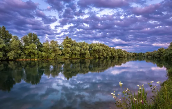 The sky, grass, trees, river, the evening