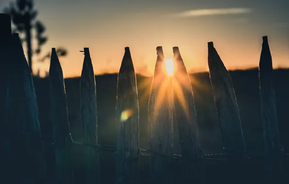 Picture light, sunset, the fence