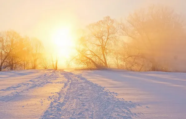 Winter, landscape, sunset