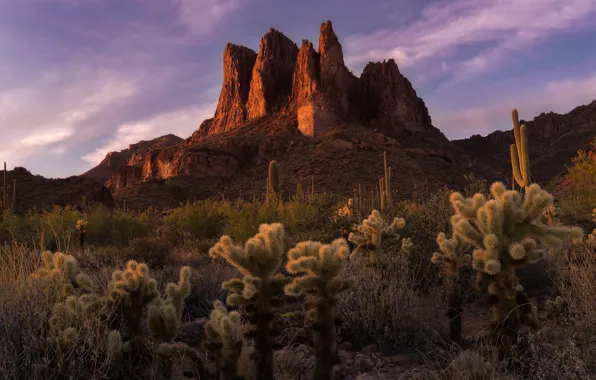The sky, clouds, mountains, nature, rocks, vegetation, tops, the evening