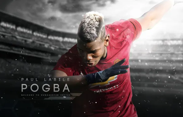 Picture wallpaper, sport, stadium, football, Manchester United, player, Paul Pogba